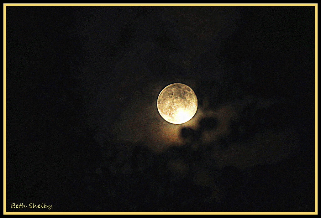 Bright Moon by vernabeth