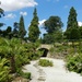 Brodsworth Hall Gardens by fishers
