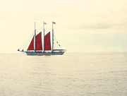 9th Aug 2014 - Red Sails