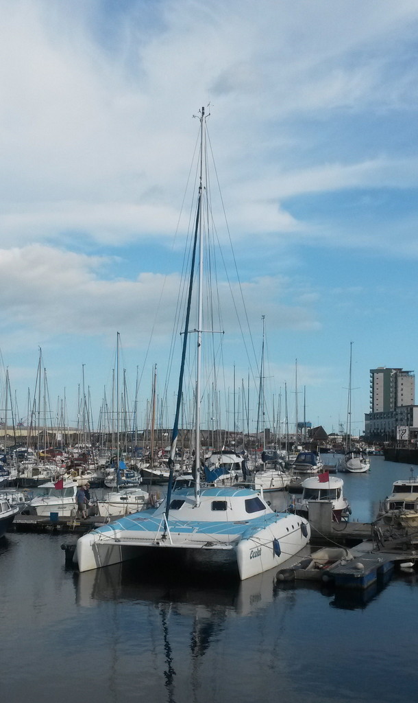 Swansea Marina by elainepenney