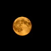 Super Moon by bruni