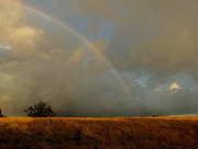 11th Aug 2014 - over the fields - rainbow in the clouds