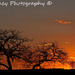 Nanango Sunset by kerenmcsweeney