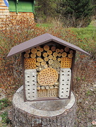 24th May 2014 - The bug house!