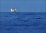 10th Aug 2014 - White Schooner on the High Seas