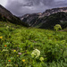 Valley of Flowers by exposure4u