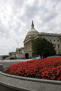 7th Aug 2014 - Capitol Building, Washington DC