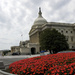 Capitol Building, Washington DC by padlock