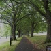 Avenue @ The Forest Recreation Ground by oldjosh