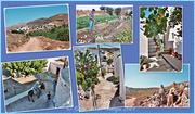 12th Aug 2014 - Sitanos,A Typical Cretan Village