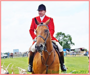 12th Aug 2014 - Horse And Rider