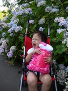 3rd Aug 2014 - Lily @ Rose Garden