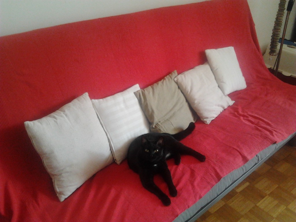 queen of the couch by zardz