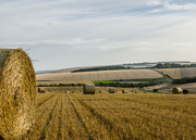 12th Aug 2014 - Bales and beyond - 12-08