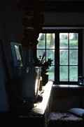 12th Aug 2014 - Morning sun in the living room