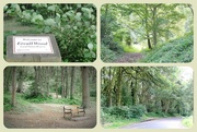 13th Aug 2014 - Ercall Woods 