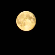 11th Aug 2014 - super moon