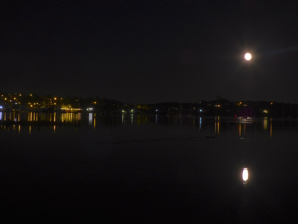 Lunenburg Moonrise by Weezilou