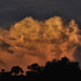 Silhouettes and Clouds by joysfocus