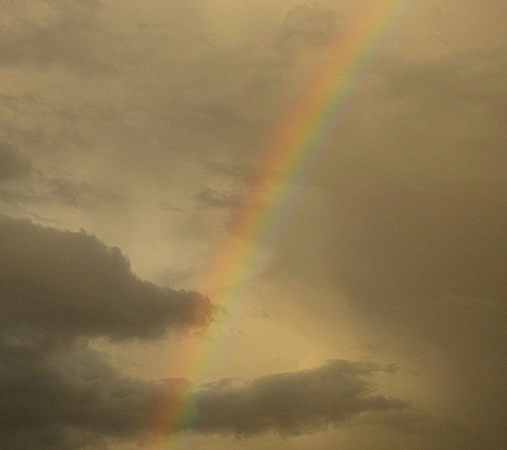 fat rainbow.....  by quietpurplehaze