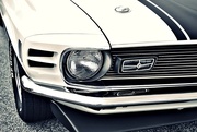 14th Aug 2014 - 1970 Ford Mustang Mach 1
