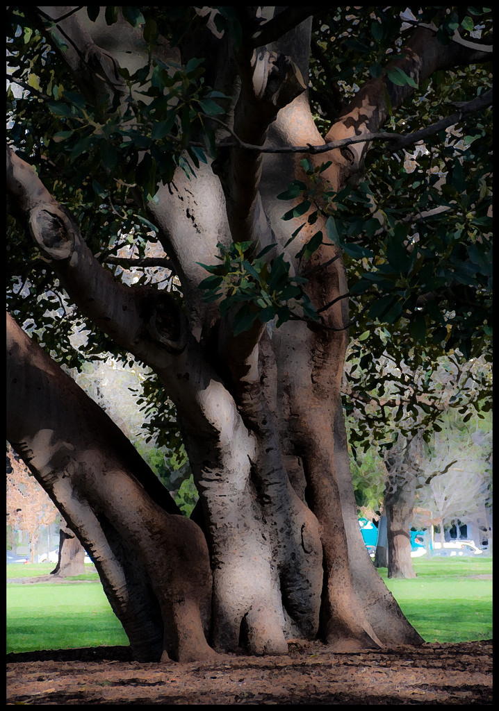 Carlton Gardens by annied