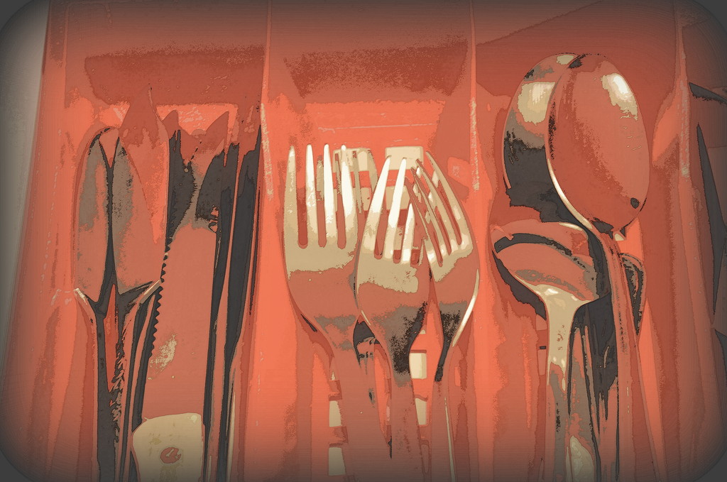 The Cutlery Drawer by salza
