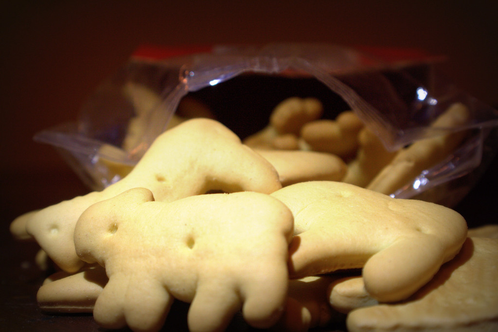 Day 224:  Animal Crackers by sheilalorson