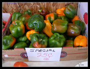 13th Aug 2014 - Special on Peppers