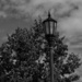 Under The Streetlamp by digitalrn