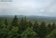 12th Aug 2014 - Scenic Vermont