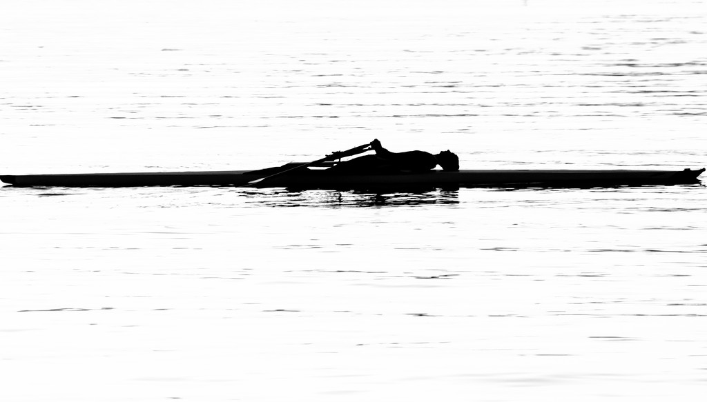 Rowing is Backbreaking by yaorenliu