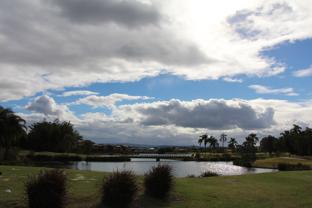 Palm Meadows Clouds by terryliv
