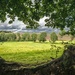 What would the countryside be without trees? by vignouse