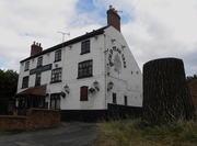 6th Aug 2014 - The Old Pear Tree