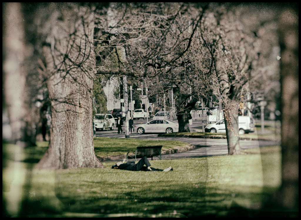 to lie beneath the trees by annied