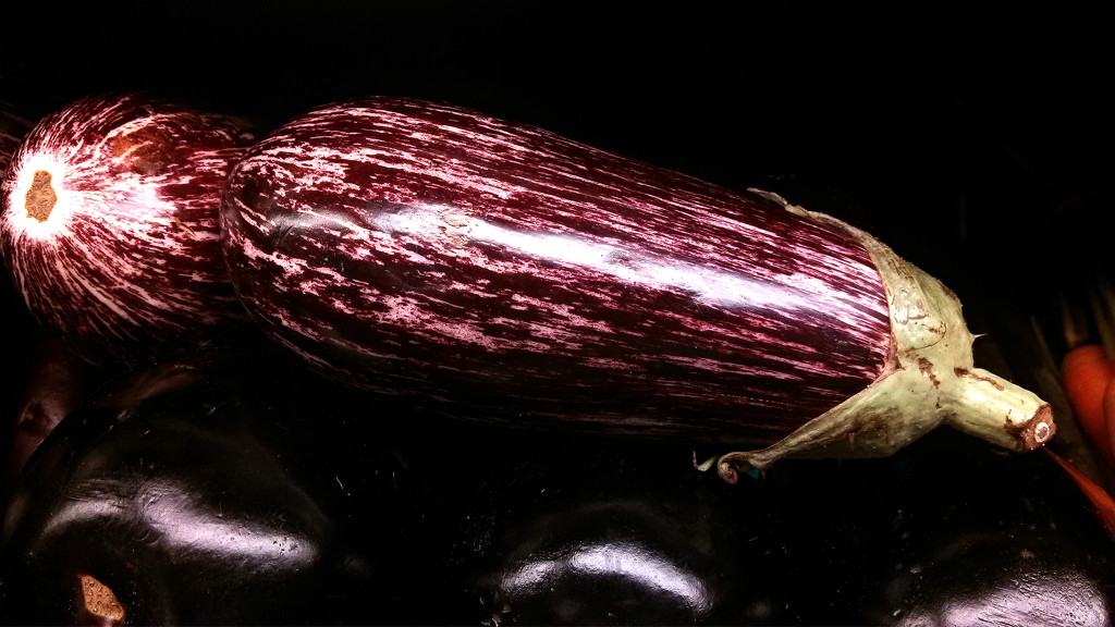 Still Life - Eggplant by lifepause