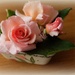 pink roses in a pink tulip dish by quietpurplehaze