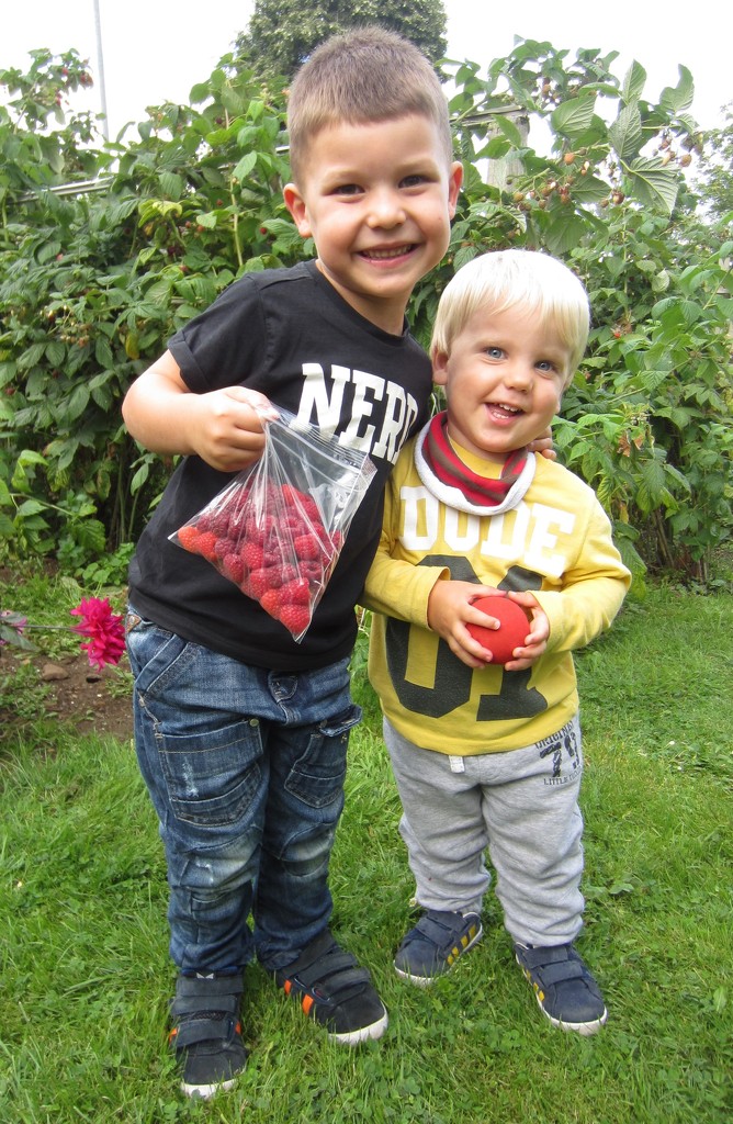 Raspberry picking...... by anne2013