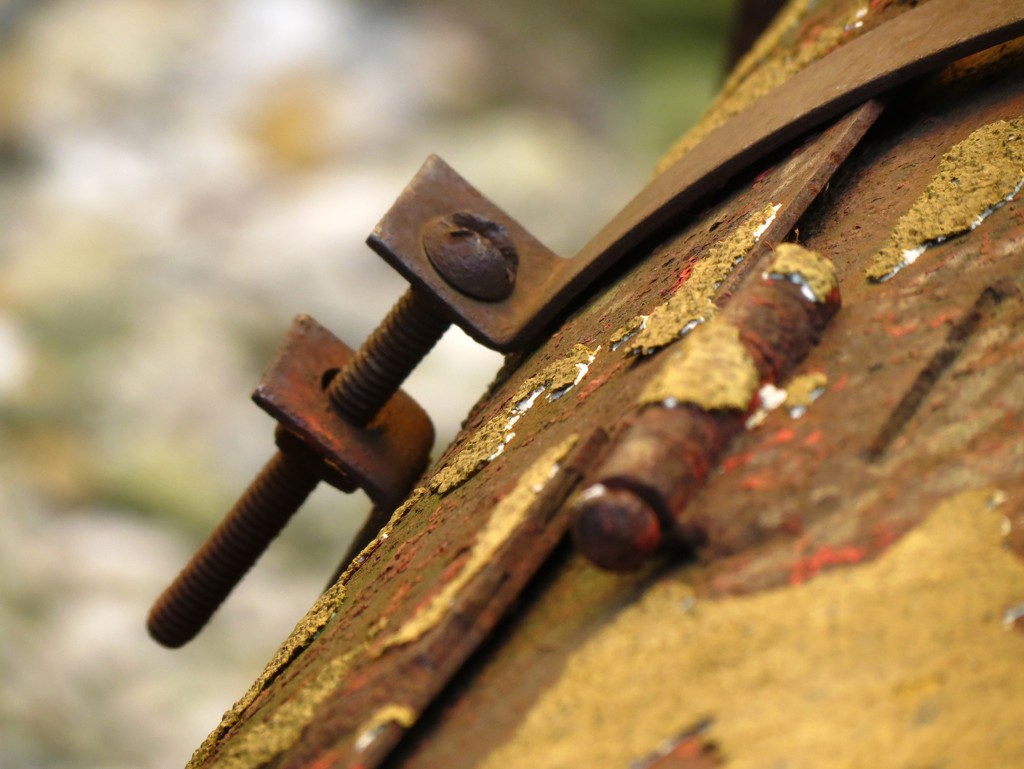 Focus on Rust and Flaking Paint Between Screw and Hinge by juliedduncan