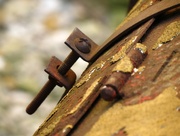 15th Aug 2014 - Focus on Rust and Flaking Paint Between Screw and Hinge