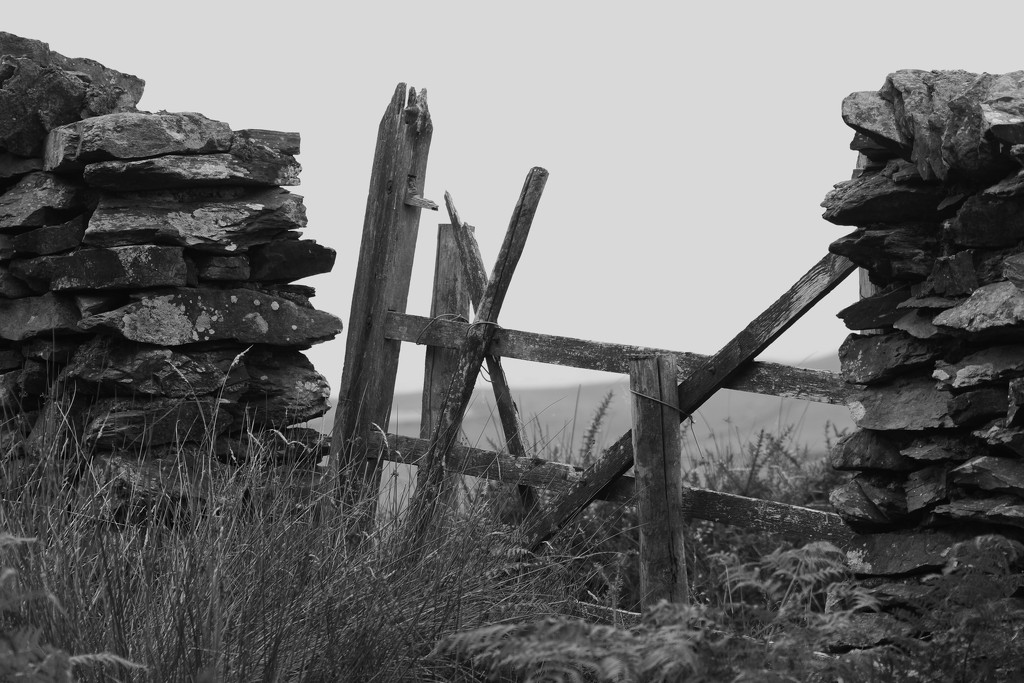 The Fell Gate ..... (For Me ....) by motherjane