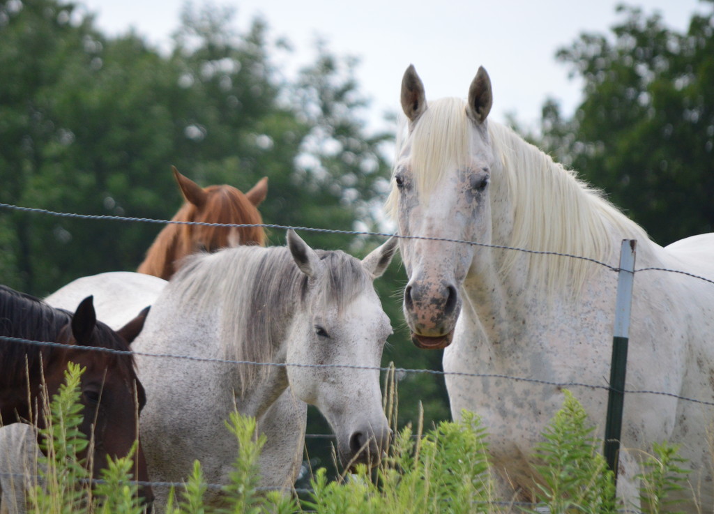 Just the Four of Us by kareenking