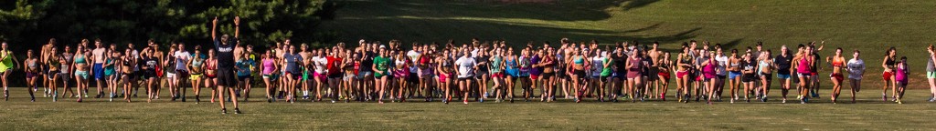 Milton High School X-Country Team Practice by darylo