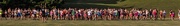 15th Aug 2014 - Milton High School X-Country Team Practice