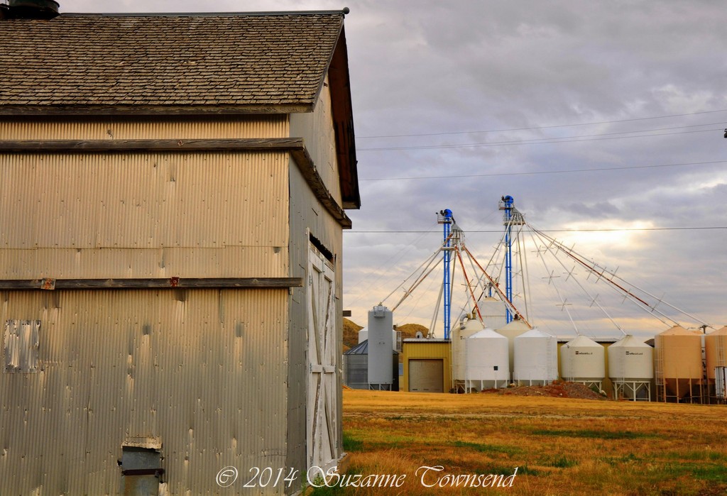Grain Country by stownsend
