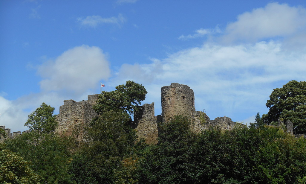 Ludlow Castle... by snowy