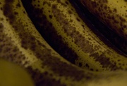 15th Aug 2014 - Spotted Bananas