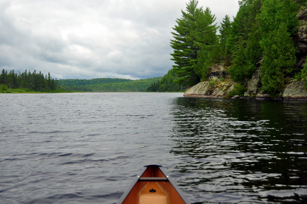 Algonquin Park Solo Canoe Trip by jayberg