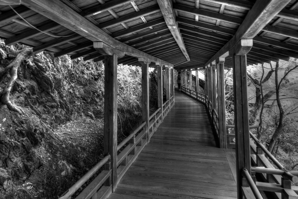 The Walkway to...? by taffy
